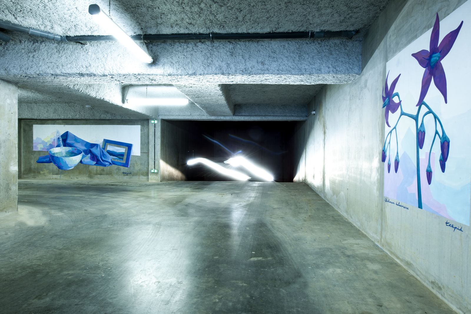 Aneo Graf
