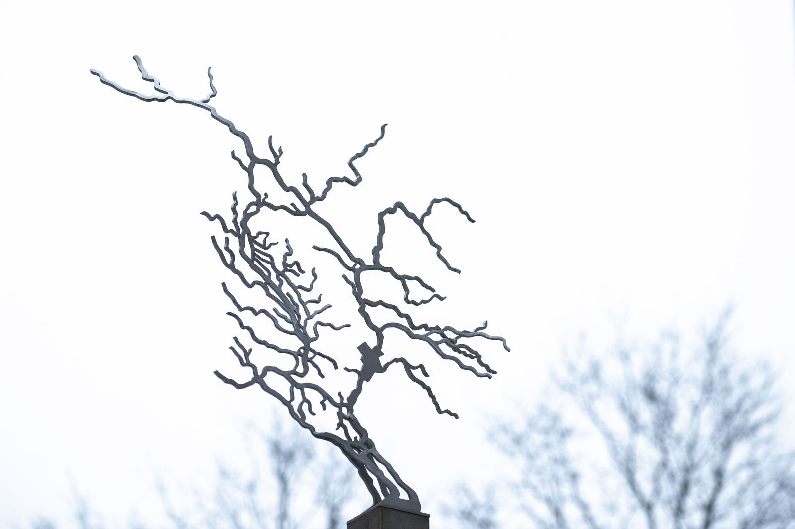 Emergence Valenciennes